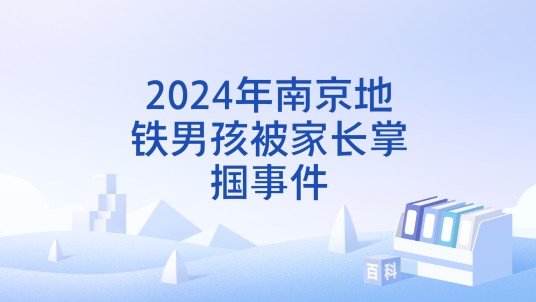 2024年南京地铁男孩被家长掌掴事件