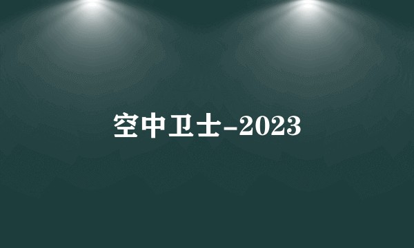 空中卫士-2023