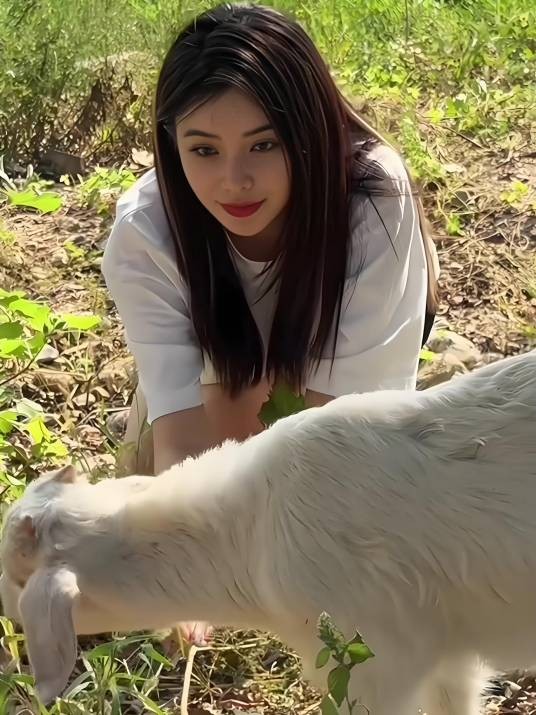 王笑悦