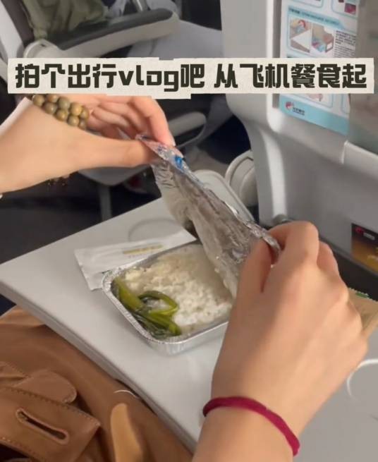 2026年女子晒飞机餐事件