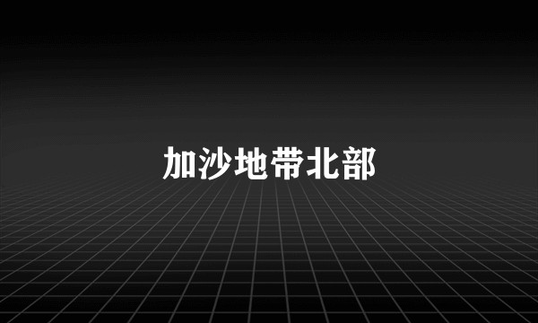 加沙地带北部