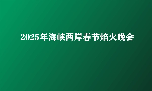 2025年海峡两岸春节焰火晚会