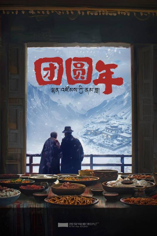 团圆年（张力编剧并执导的电影）