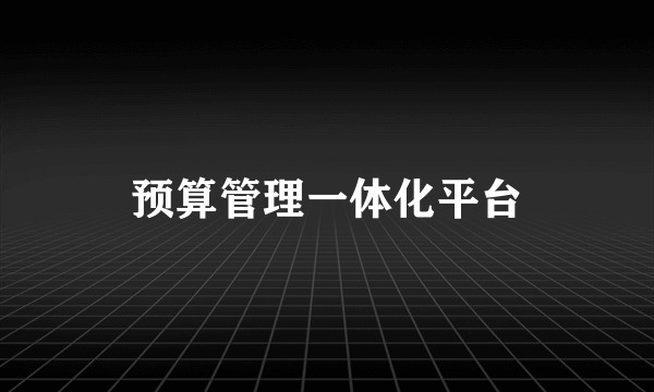 预算管理一体化平台