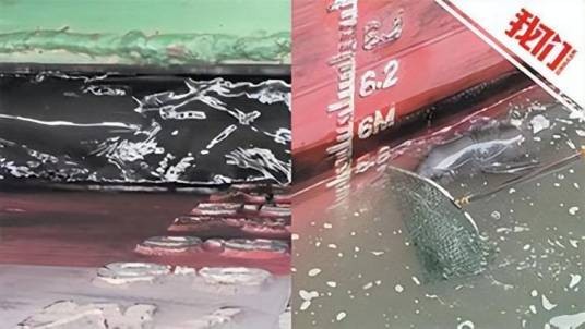 2·17长江江苏镇江段江豚死亡事件