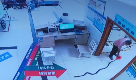 8·20临沧老人被蛇咬伤事件