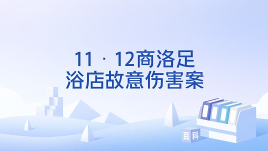 11·12商洛足浴店故意伤害案