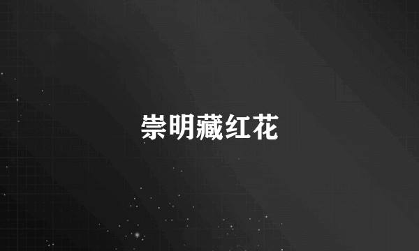 崇明藏红花