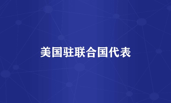 美国驻联合国代表