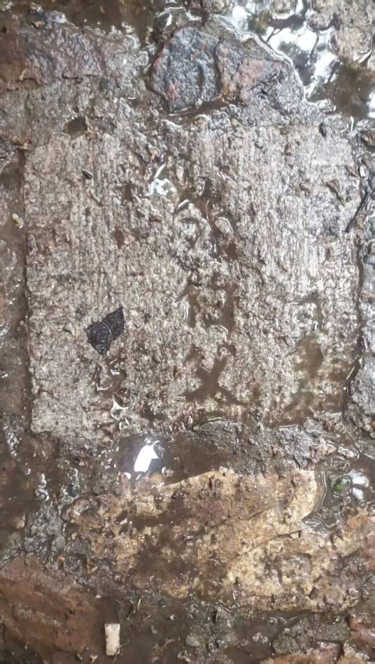 5·20无锡公园用墓碑铺路事件