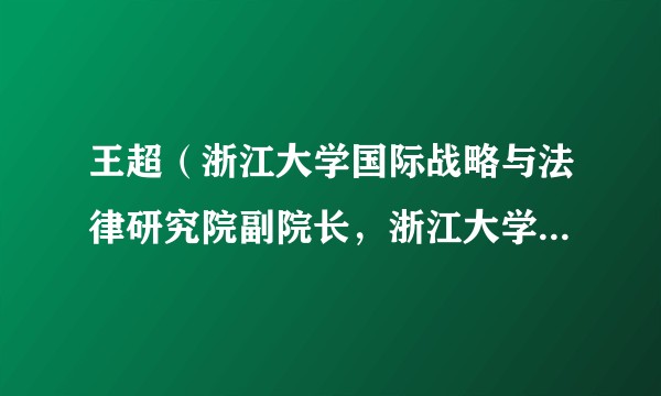 王超（浙江大学国际战略与法律研究院副院长，浙江大学光华法学院副教授）