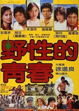 野性的青春（徐进良导演的一部剧情电影）