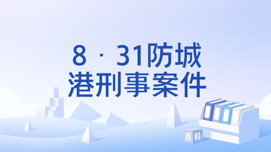 8·31防城港刑事案件