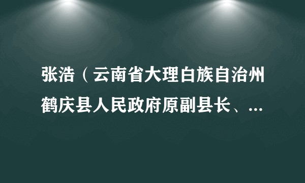 张浩（云南省大理白族自治州鹤庆县人民政府原副县长、县公安局原局长）