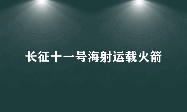 长征十一号海射运载火箭