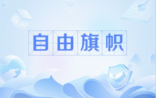 自由旗帜（韩美空军举行的空中联合军演）