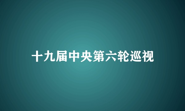 十九届中央第六轮巡视