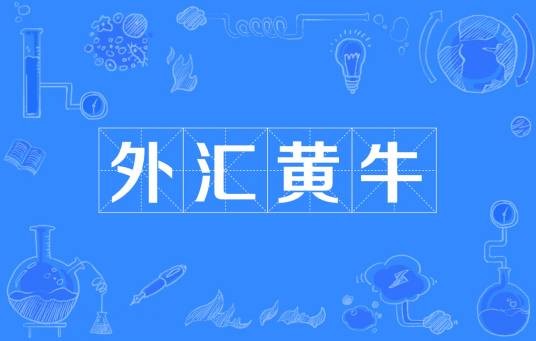 外汇黄牛