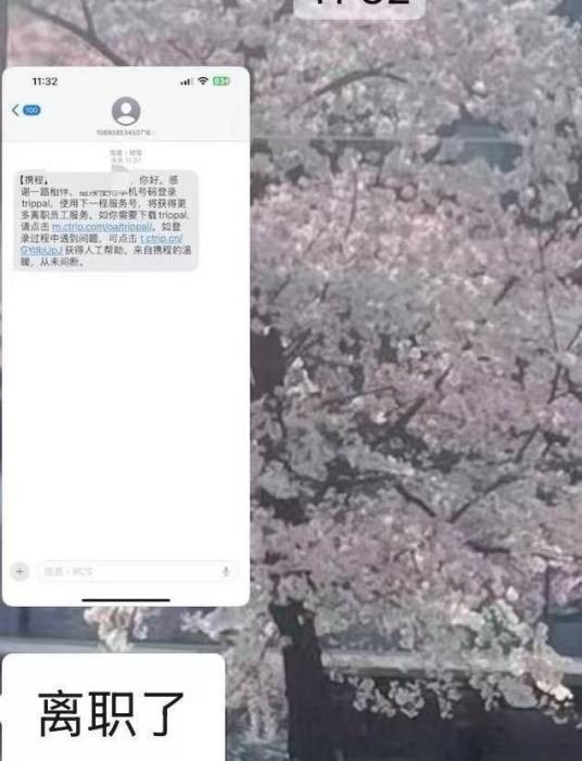 2026年携程发全员离职通知事件