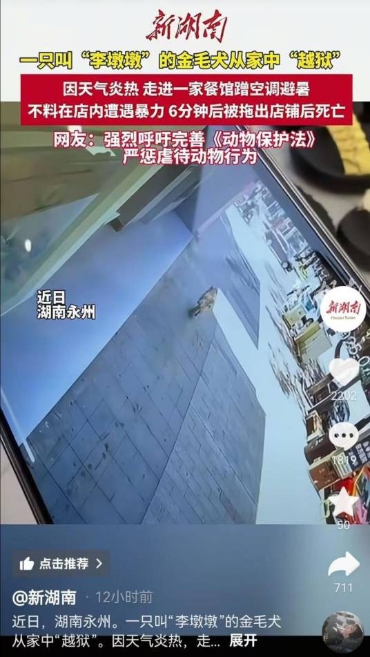 7·4永州金毛犬避暑遭殴打致死事件