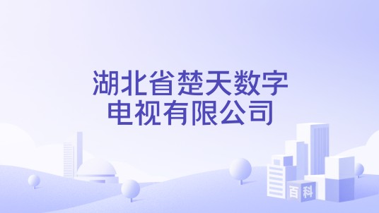 湖北省楚天数字电视有限公司