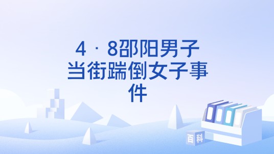 4·8邵阳男子当街踹倒女子事件
