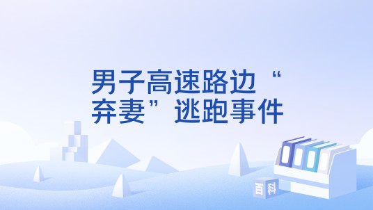 男子高速路边“弃妻”逃跑事件