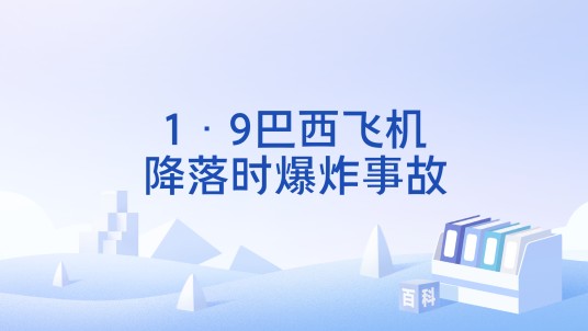1·9巴西飞机降落时爆炸事故