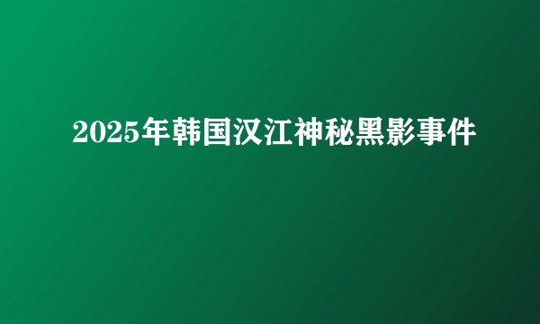 2025年韩国汉江神秘黑影事件
