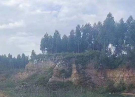 9·17湛江4名男孩溺亡事件