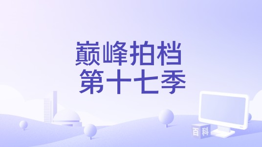 巅峰拍档 第十七季
