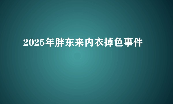 2025年胖东来内衣掉色事件