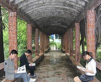校园文化建设系统