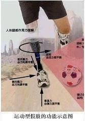 运动型下肢假肢