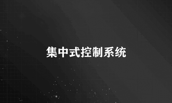 集中式控制系统