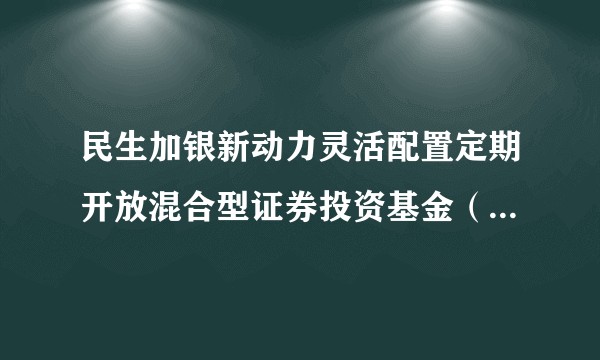 民生加银新动力灵活配置定期开放混合型证券投资基金（民生加银新动力定开混合D）