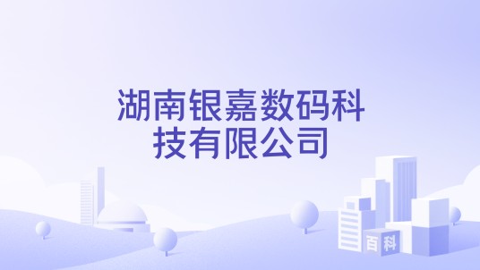 湖南银嘉数码科技有限公司