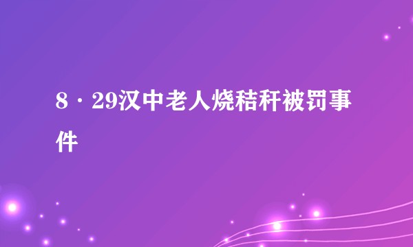 8·29汉中老人烧秸秆被罚事件