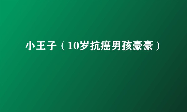 小王子（10岁抗癌男孩豪豪）