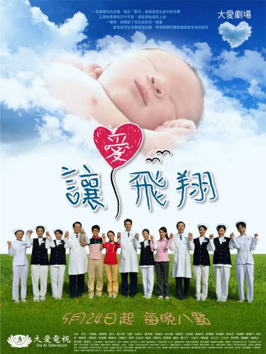 让爱飞翔（2011年何东兴执导电视剧）