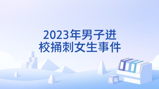 2023年男子进校捅刺女生事件