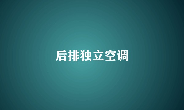 后排独立空调