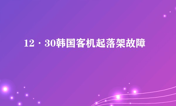 12·30韩国客机起落架故障