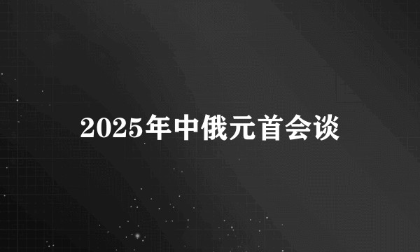 2025年中俄元首会谈