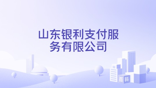 山东银利支付服务有限公司
