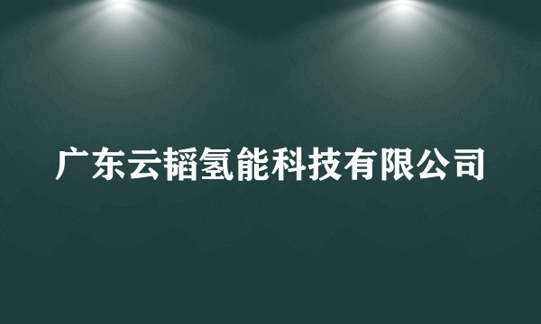 广东云韬氢能科技有限公司