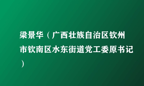 梁景华（广西壮族自治区钦州市钦南区水东街道党工委原书记）