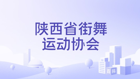 陕西省街舞运动协会