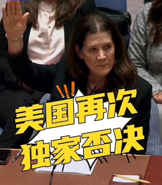 6·4美国一票否决加沙草案事件