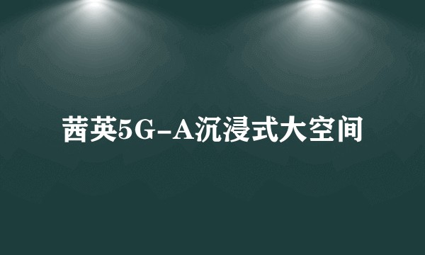 茜英5G-A沉浸式大空间